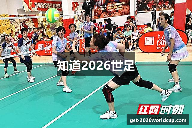 知道2026世足